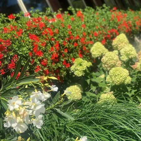 Отель Korona 2*